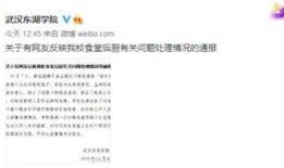 武汉学校爆料视频大全集,揭秘校园内幕与真实故事